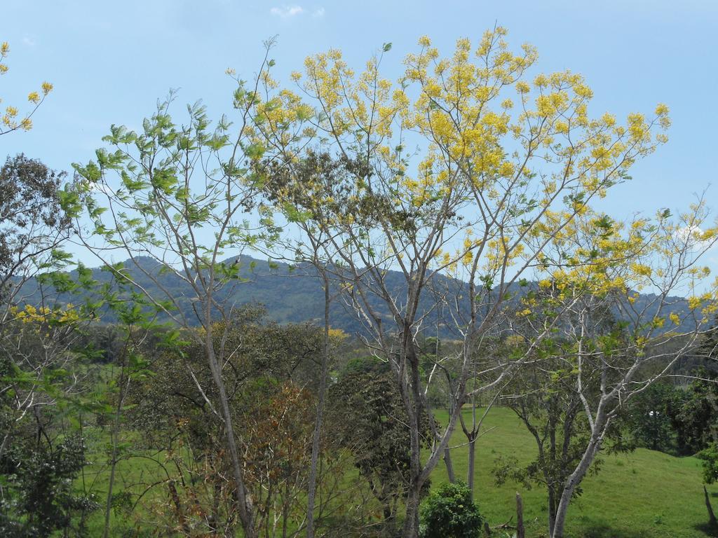 Auto Hotel Paraiso Inn Palenque Bagian luar foto
