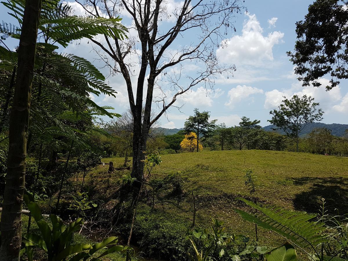Auto Hotel Paraiso Inn Palenque Bagian luar foto